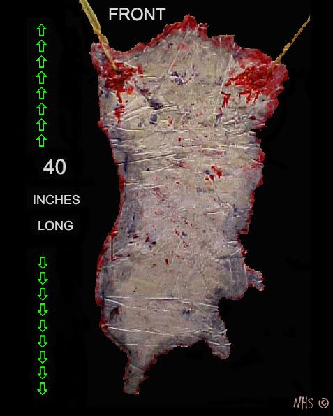 STRIPPED OFF HUMAN FLESH Body Skin   HALLOWEEN HORROR PROP   CORPSE 