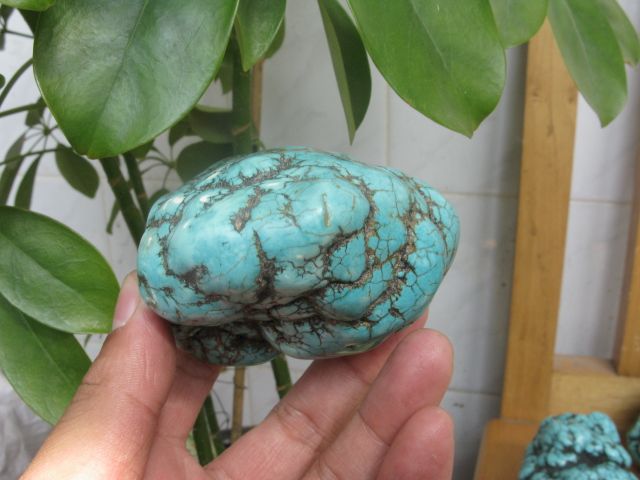 425g VAIN BLUE polished Turquoise Rough NuggeT  