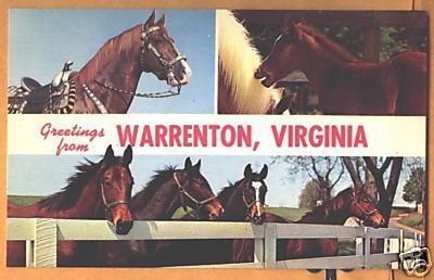 c1960 Greetings from Warrenton VA postcard w/ horses  