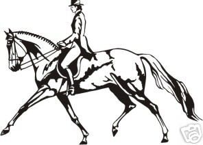 Horse Trot Equestrian Rider Trailer Truck Decal  