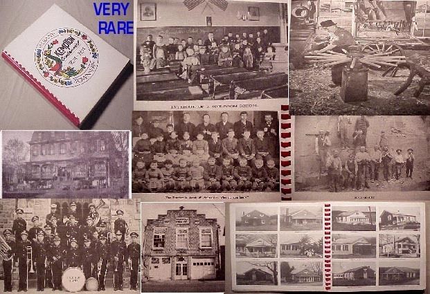   .HISTORY~ALBANY TOWNSHIP 1874 1974 mertztown trexler stony run  