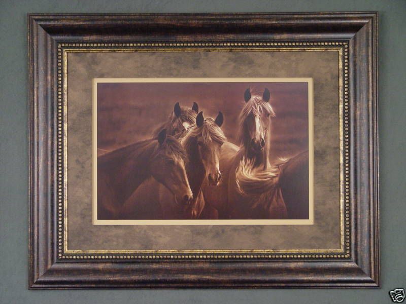 Bad Girls by Tony Stromberg FRAMED HORSE PHOTO  