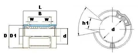 Major dimensions and tolerance (mm)