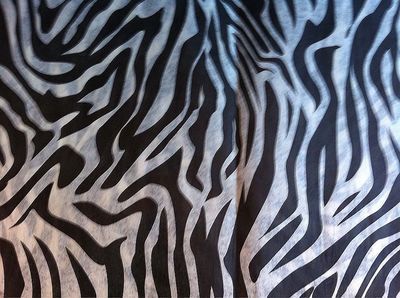 ZEBRA PRINT GIFT TISSUE PAPER 20 X 30 30CT  