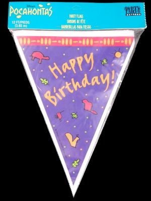 NEW Disney Pocahontas Birthday Party Flags Banner 12 ft  