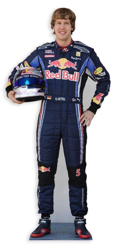 FORMULA 1 ONE F1 Racing Driver LIFESIZE CARDBOARD CUTOUT STANDEE 