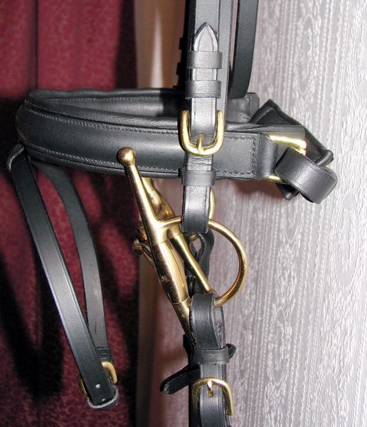   BRASS GOLD Comfort Padded Poll CRANK BRIDLE Dressage Reins NEW  