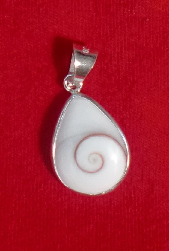 TearDrop Shiva Shell Sterling Silver Pendant  