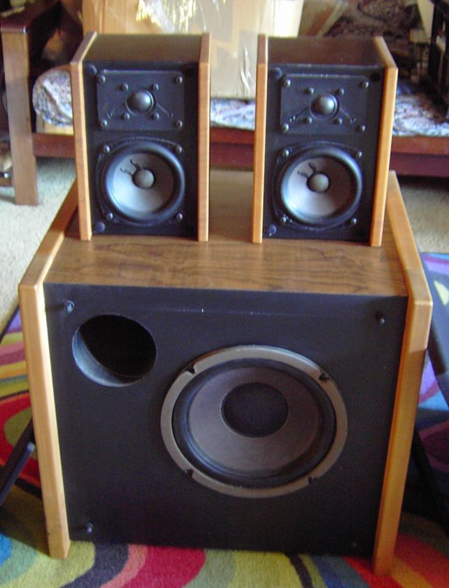 Micron GS 5 Satellite Speakers and GS 10 Subwoofer NICE  