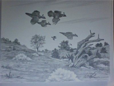 David Hagerbaumer Original Signed Pencil Drawing Gamebirds Valley 