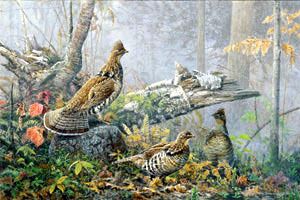 Scott Zoellick A/P Grouse print  FALL GATHERING  