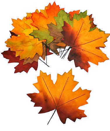 Large Fall Maple Leaves Autumn Wedding Flowergirl Decor  