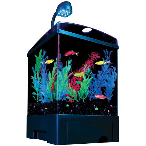 Tetra GloFish Aquarium Fish Tank Desktop Kits  