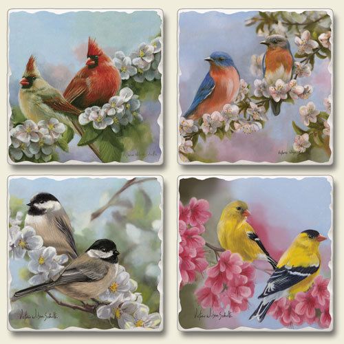 Wild Bird Nature Art Refrigerator Magnets Set of 4 New  