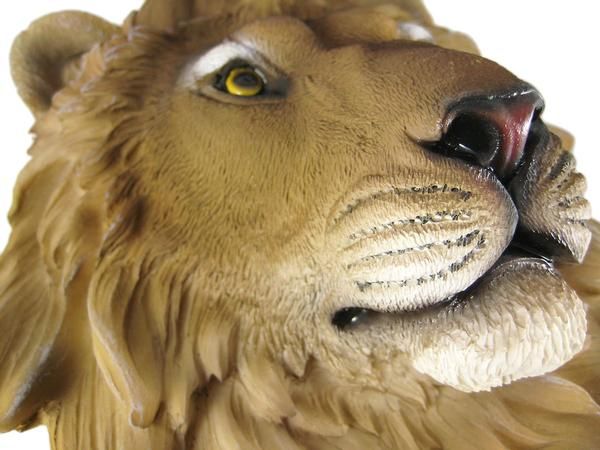 African Lion Head Mount Wall Statue Mini Bust Leo  